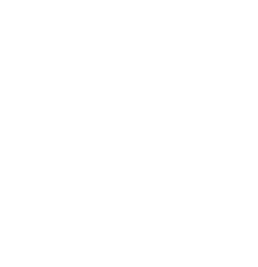 Municipal Planning